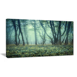 trail through foggy forest landscape photo canvas art print PT8437