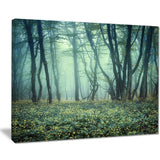 trail through foggy forest landscape photo canvas art print PT8437