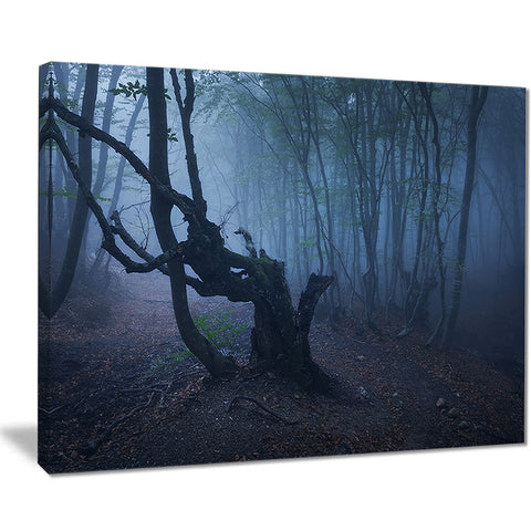 dark autumn foggy forest landscape photo canvas print PT8439