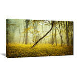 forest with yellow flowers landscape photo canvas print PT8440