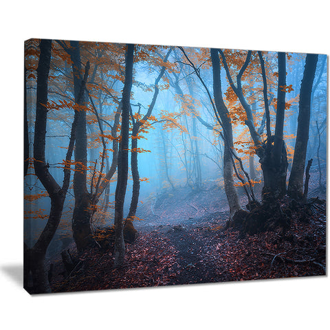 dark forest with orange leaves landscape photo canvas print PT8441