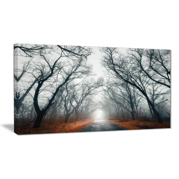 mystic road in forest landscape photo canvas print PT8442