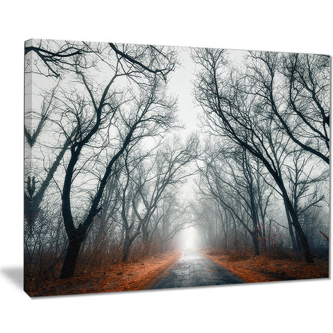 mystic road in forest landscape photo canvas print PT8442