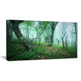 trail through green forest landscape photo canvas print PT8443