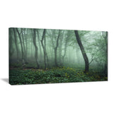 trail through dark foggy forest landscape photo canvas print PT8444