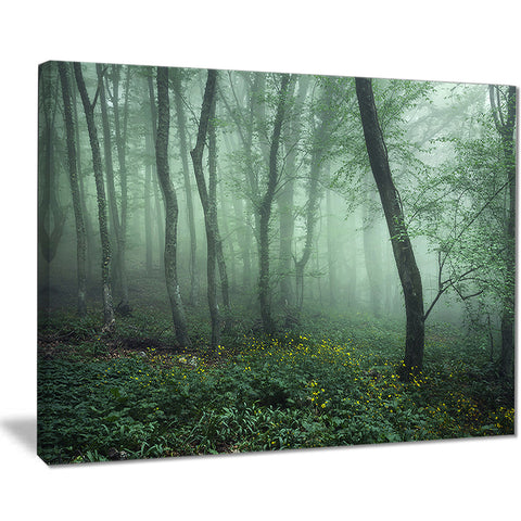 trail through dark foggy forest landscape photo canvas print PT8444