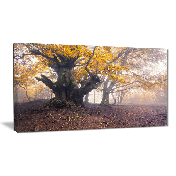 dark tree with yellow leaves landscape photo canvas print PT8450