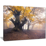 dark tree with yellow leaves landscape photo canvas print PT8450