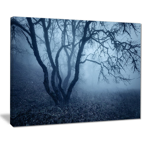 tree in foggy dark forest landscape photo canvas print PT8451