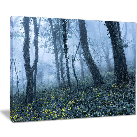 trees in foggy spring forest landscape photo canvas print PT8453