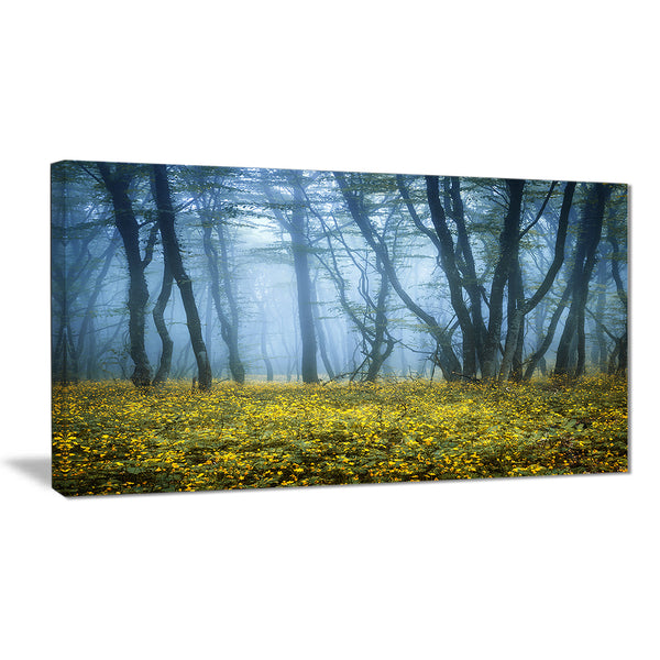 mysterious forest fog everywhere landscape photo canvas print PT8455