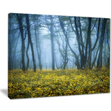 mysterious forest fog everywhere landscape photo canvas print PT8455