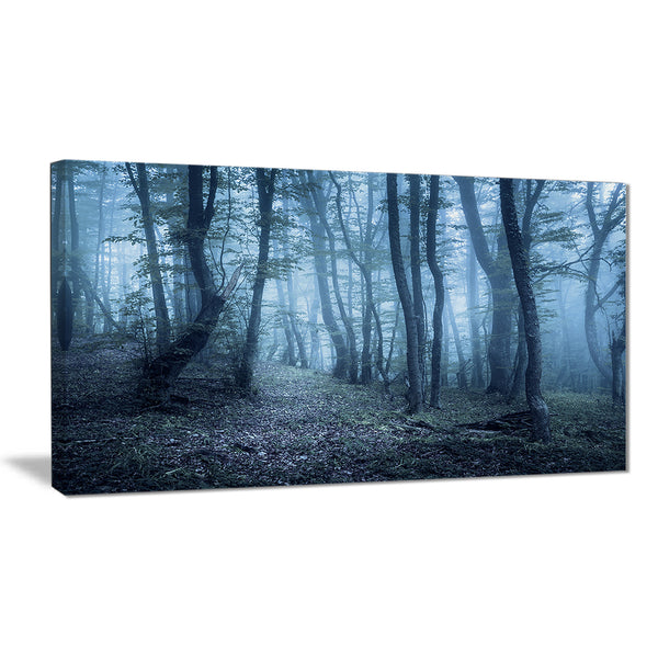 spring foggy forest trees landscape photo canvas print PT8458