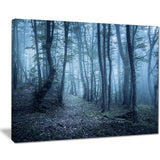 spring foggy forest trees landscape photo canvas print PT8458