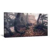 autumn foggy forest trees landscape photo canvas print PT8459