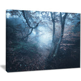beautiful autumn in forest landscape photo canvas print PT8460