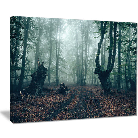 dark forest and dark trees landscape photo canvas print PT8465