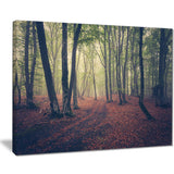 green trees in autumn forest landscape photo canvas print PT8466