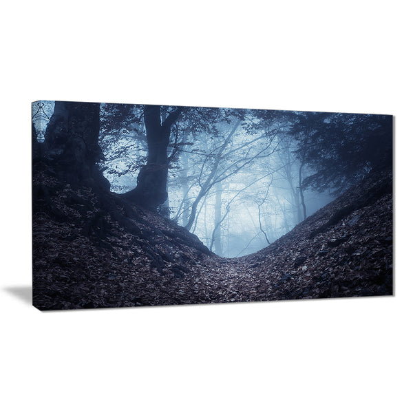 sunlight hitting foggy forest landscape photo canvas print PT8469