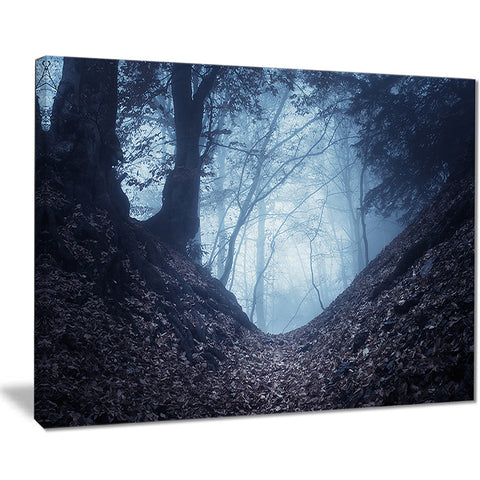 sunlight hitting foggy forest landscape photo canvas print PT8469