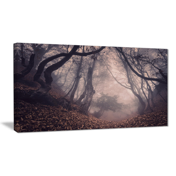 vintage foggy forest trees landscape photo canvas print PT8470