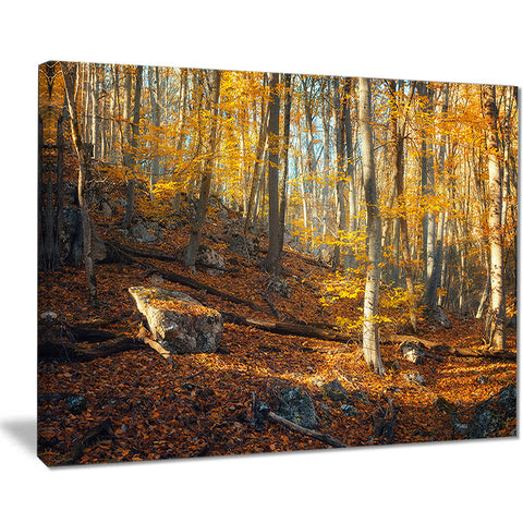 crimean mountains yellow leaves landscape photo canvas print PT8471