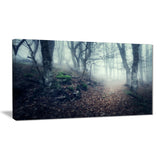 old style path in forest landscape photo canvas print PT8472