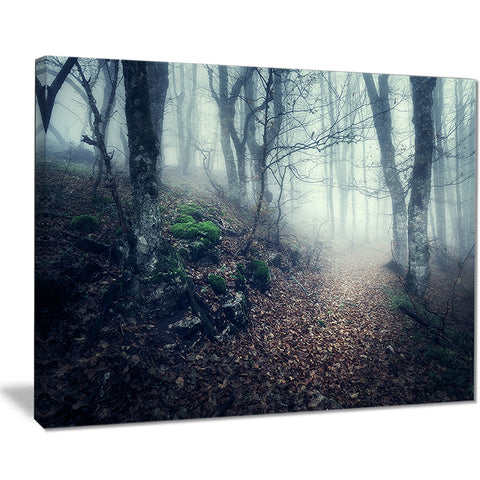old style path in forest landscape photo canvas print PT8472