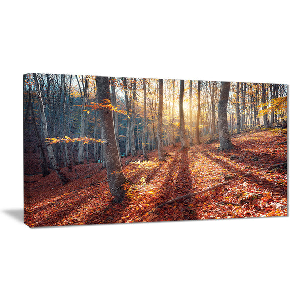 crimean mountains tree shade landscape photo canvas print PT8475