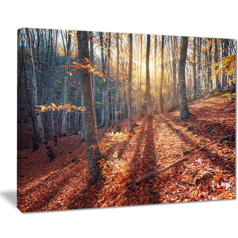 crimean mountains tree shade landscape photo canvas print PT8475