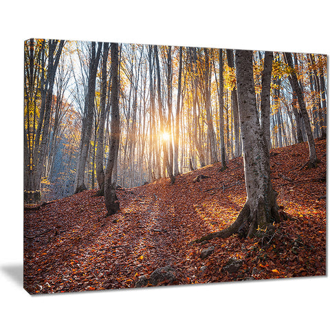 crimean mountains autumn trees landscape photo canvas print PT8476