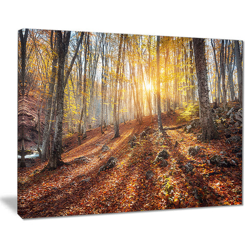 crimean mountains yellow autumn landscape photo canvas print PT8477