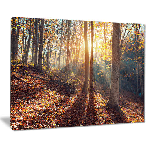 crimean mountains autumn landscape photo canvas print PT8478