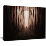 man in surreal forest with fog landscape photo canvas print PT8481