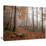 autumn forest in germany landscape photo canvas print PT8482