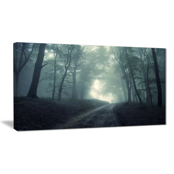 man walking in foggy forest landscape photo canvas print PT8484