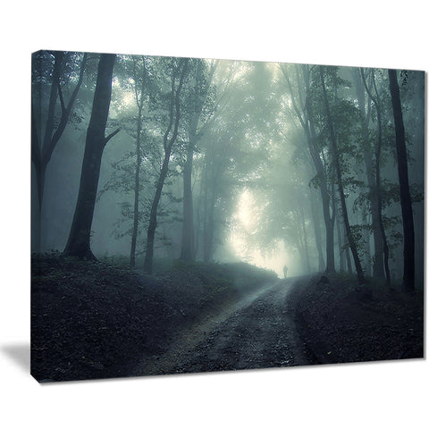 man walking in foggy forest landscape photo canvas print PT8484