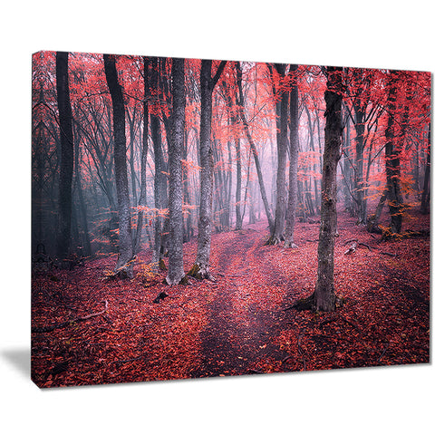 mysterious fairytale red wood landscape photo canvas print PT8485