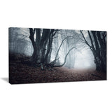 mysterious fairytale foggy wood landscape photo canvas print PT8486