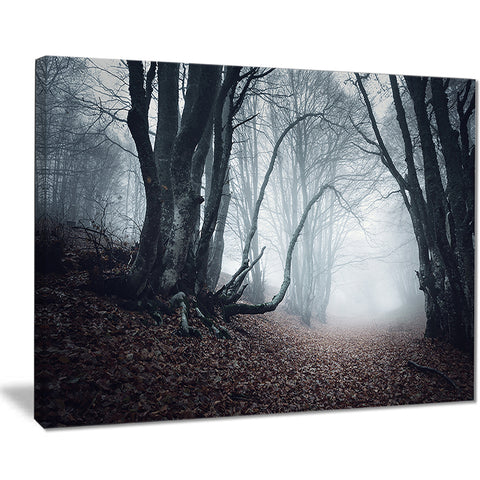 mysterious fairytale foggy wood landscape photo canvas print PT8486