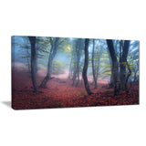 mysterious fairytale green wood landscape photo canvas print PT8487