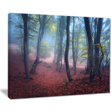 mysterious fairytale green wood landscape photo canvas print PT8487