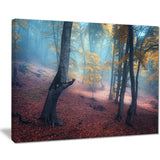 mysterious fairytale yellow wood landscape photo canvas print PT8488