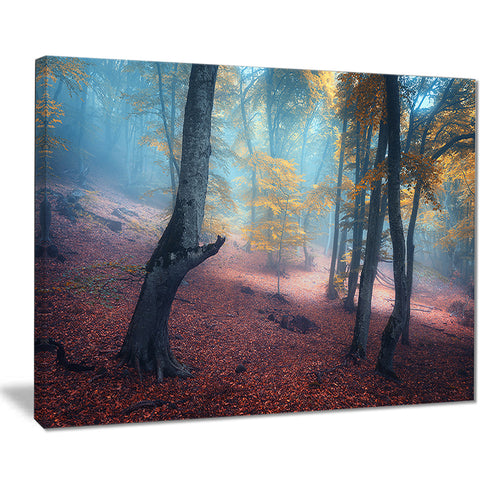 mysterious fairytale yellow wood landscape photo canvas print PT8488