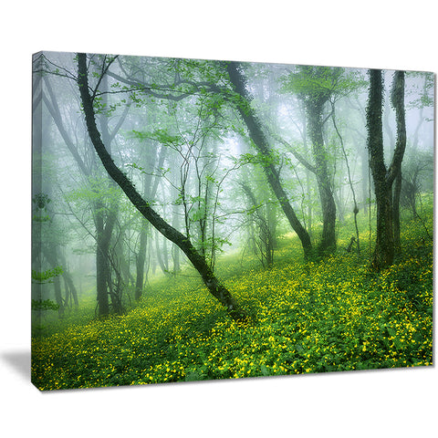 mysterious forest green leaves landscape photo canvas print PT8489