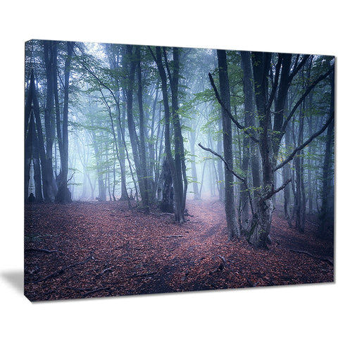 mysterious fairytale wood landscape photo canvas print PT8490