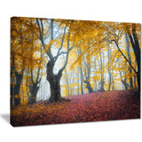 yellow forest autumn trail landscape photo canvas print PT8493