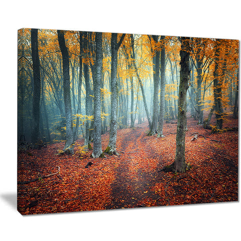 red and yellow autumn forest landscape photo canvas print PT8619