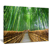 path to bamboo forest landscape photo canvas print PT8622