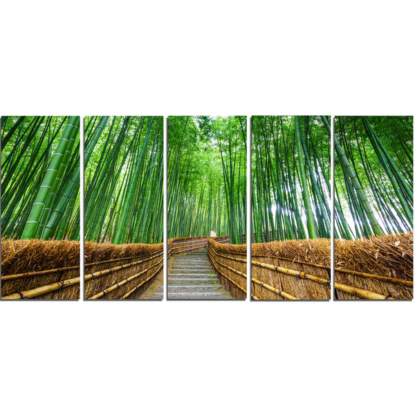 path to bamboo forest landscape photo canvas print PT8622